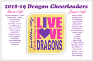 2018-19 Dragon Cheerleaders!