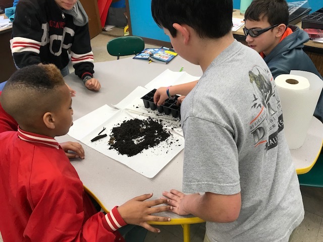 Plant Growth!