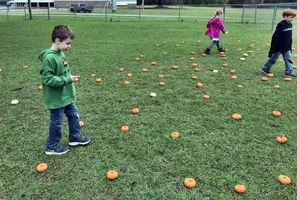 1st Grade visits the Portable Pumpkin Patch!!!