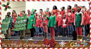 2nd & 3rd Grade Production of "The Littlest Christmas Tree!"